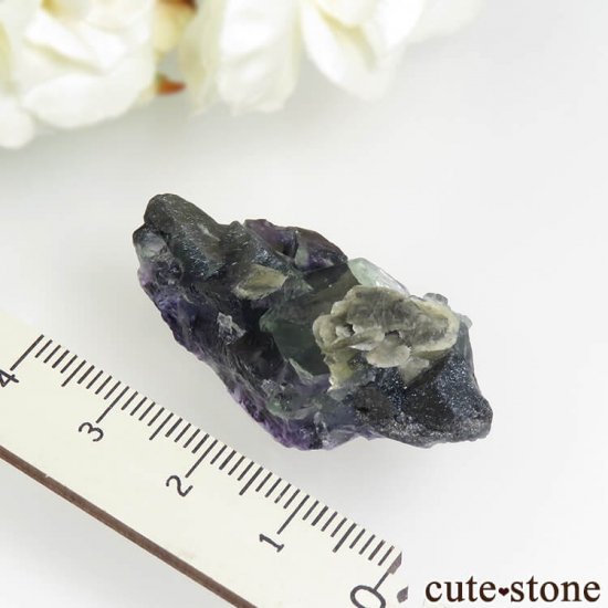  󥴥뻺 ˾뾽ե饤 13.3gμ̿2 cute stone