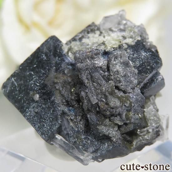  󥴥뻺 ˾뾽ե饤ȡ 17.1gμ̿1 cute stone