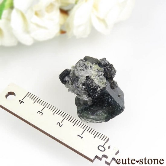  󥴥뻺 ˾뾽ե饤ȡ 17.1gμ̿2 cute stone