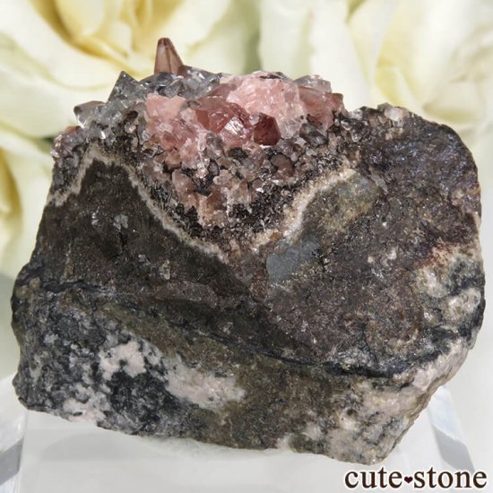ڥ롼 Uchucchacua Mine ɥȡĤդ뾽ʸС45.4gμ̿1 cute stone