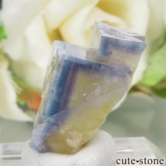 ե La Barre Mine ֥롼ߥե饤Ȥη뾽ʸС 7gμ̿1 cute stone