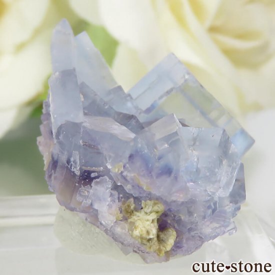 ե La Barre Mine ֥롼ߥե饤Ȥη뾽ʸС 5.9gμ̿0 cute stone