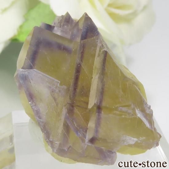 ե La Barre Mine ֥롼ߥե饤Ȥη뾽ʸС 18.2gμ̿1 cute stone