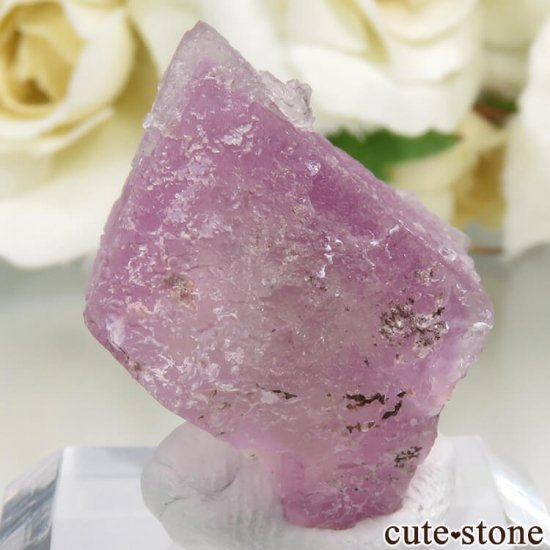 ꥫ ˥塼ᥭ Surprise Mine ѡץߥ꡼ե饤Ȥη뾽ʸС 11.5gμ̿0 cute stone