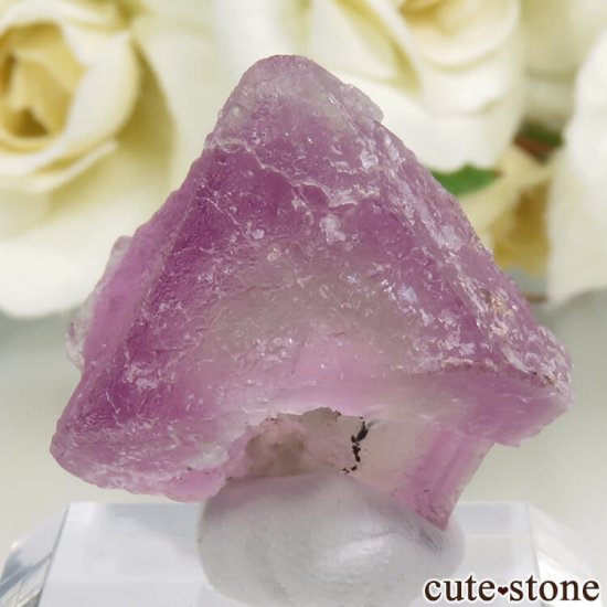 ꥫ ˥塼ᥭ Surprise Mine ѡץߥ꡼ե饤Ȥη뾽ʸС 11.5gμ̿1 cute stone