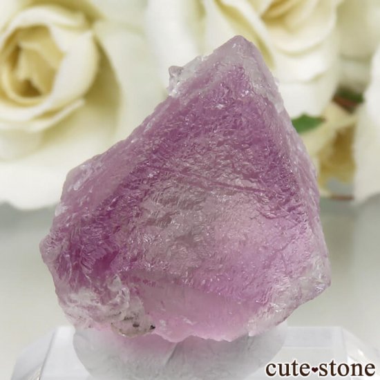 ꥫ ˥塼ᥭ Surprise Mine ѡץߥ꡼ե饤Ȥη뾽ʸС 11.5gμ̿2 cute stone