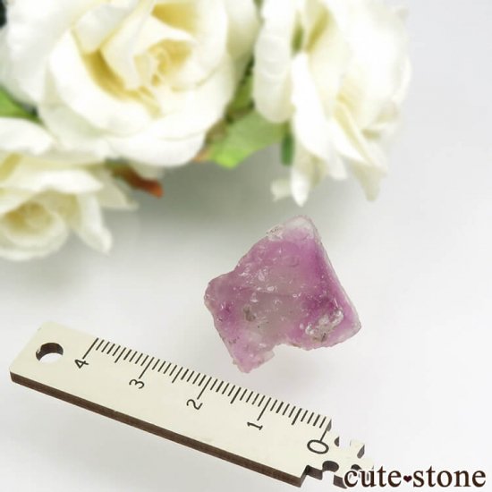 ꥫ ˥塼ᥭ Surprise Mine ѡץߥ꡼ե饤Ȥη뾽ʸС 11.5gμ̿3 cute stone