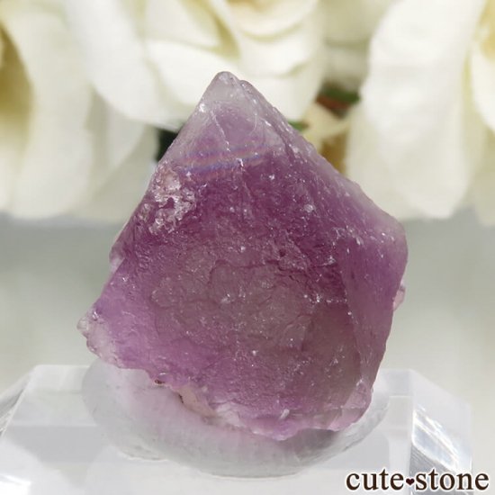 ꥫ ˥塼ᥭ Surprise Mine ѡץߥ꡼ե饤Ȥη뾽ʸС 6.7gμ̿0 cute stone