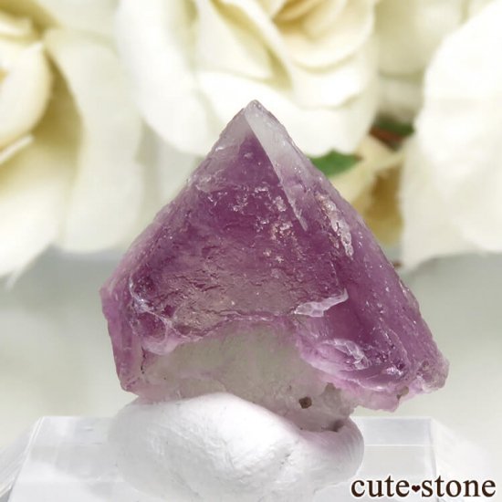 ꥫ ˥塼ᥭ Surprise Mine ѡץߥ꡼ե饤Ȥη뾽ʸС 6.7gμ̿1 cute stone