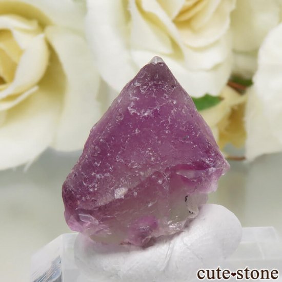 ꥫ ˥塼ᥭ Surprise Mine ѡץߥ꡼ե饤Ȥη뾽ʸС 6.7gμ̿2 cute stone