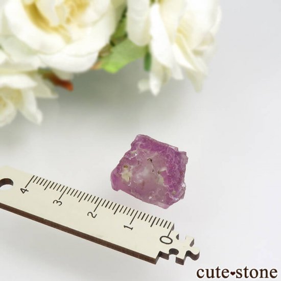 ꥫ ˥塼ᥭ Surprise Mine ѡץߥ꡼ե饤Ȥη뾽ʸС 6.7gμ̿3 cute stone