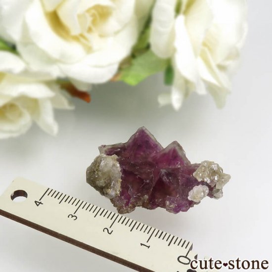 ꥫ ˥塼ᥭ Surprise Mine ѡץߥ꡼ե饤Ȥη뾽ʸС 11.7gμ̿3 cute stone