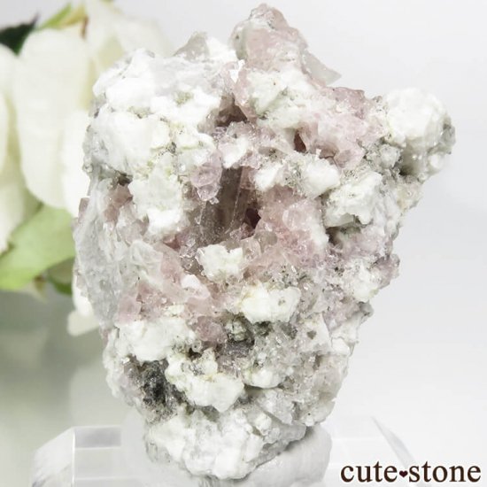 ե ֥ ԥ󥯥ե饤ȡ⡼Ĥդ뾽ʸС 15.8gμ̿1 cute stone