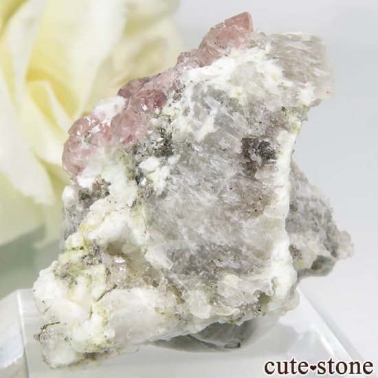 ե ֥ ԥ󥯥ե饤Ȥդ뾽ʸС 7.7gμ̿1 cute stone