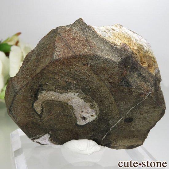  Khadakwani ᥸Ȥθ 57gμ̿2 cute stone