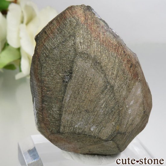  Khadakwani ᥸Ȥθ 37gμ̿1 cute stone