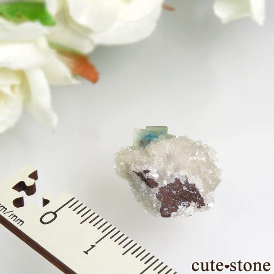  ץ͡ Wagholi Х󥵥ȥ󥫥륵Ȥդ뾽ʸС 3.4gμ̿3 cute stone