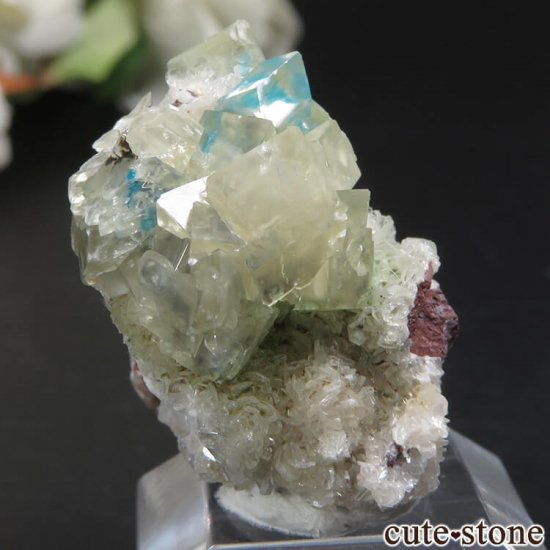  ץ͡ Wagholi Х󥵥ȥ󥫥륵Ȥդ뾽ʸС 6.6gμ̿0 cute stone