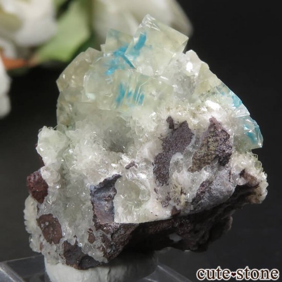  ץ͡ Wagholi Х󥵥ȥ󥫥륵Ȥդ뾽ʸС 6.6gμ̿2 cute stone