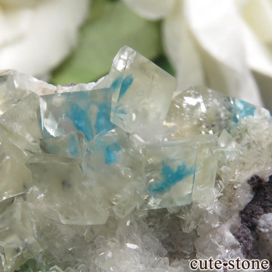  ץ͡ Wagholi Х󥵥ȥ󥫥륵Ȥդ뾽ʸС 6.6gμ̿3 cute stone
