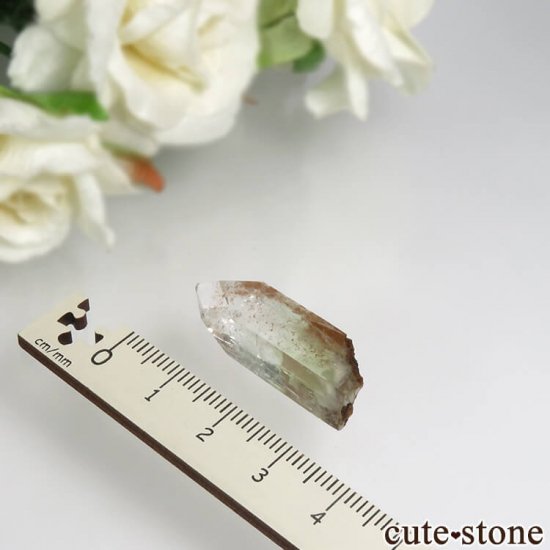 ޥɥʥ ݥե饤Ȥη뾽ʸС 4.2gμ̿2 cute stone