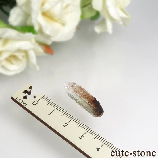  ޥɥʥ ݥե饤Ȥη뾽ʸС 1.6gμ̿2 cute stone