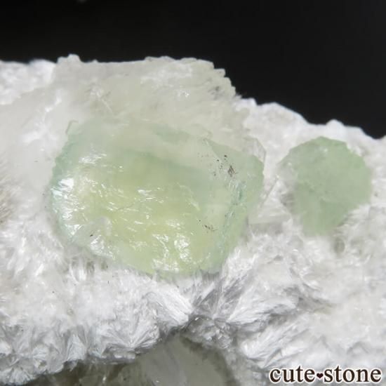  ץ͡ ʥ黺 ꡼ݥե饤ȡǥʥȡƥХȤθ 31.6gμ̿1 cute stone