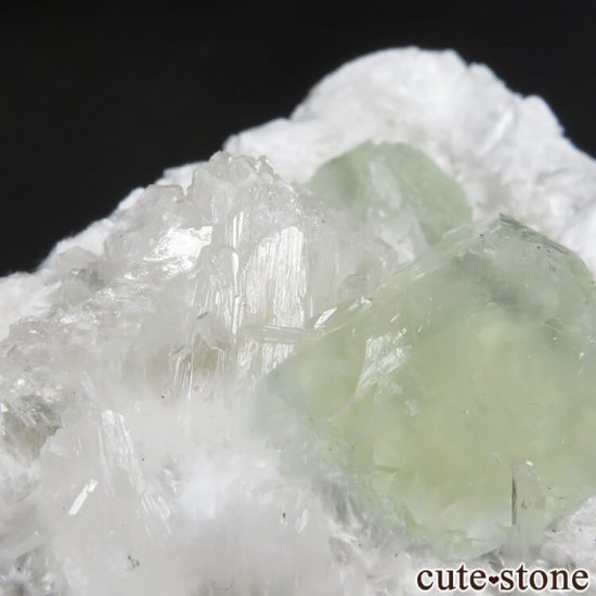  ץ͡ ʥ黺 ꡼ݥե饤ȡǥʥȡƥХȤθ 31.6gμ̿3 cute stone