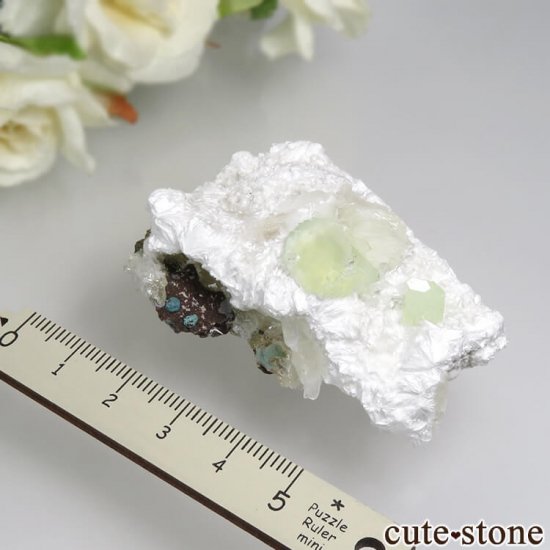  ץ͡ ʥ黺 ꡼ݥե饤ȡǥʥȡƥХȤθ 31.6gμ̿4 cute stone