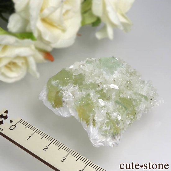  ץ͡ ʥ黺 ꡼ݥե饤ȡǥʥȡƥХȤθ 41gμ̿3 cute stone