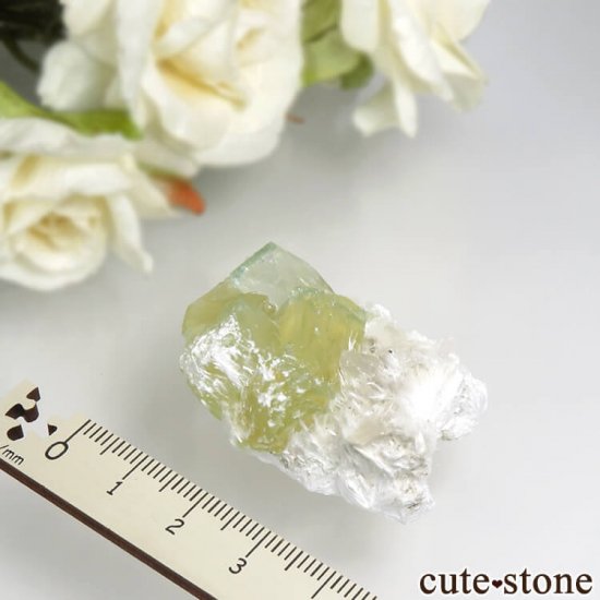  ץ͡ ʥ黺 ꡼ݥե饤ȡǥʥȡƥХȤθ 16.7gμ̿3 cute stone