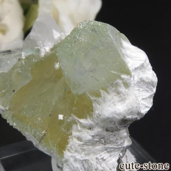  ץ͡ ʥ黺 ꡼ݥե饤ȡǥʥȡƥХȤθ 26.6gμ̿1 cute stone