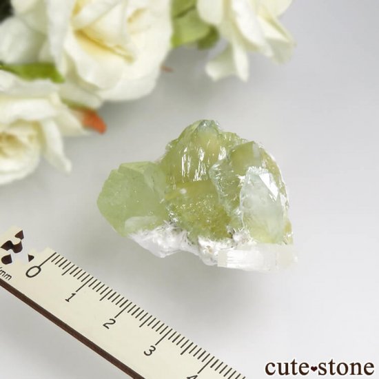  ץ͡ ʥ黺 ꡼ݥե饤ȡǥʥȡƥХȤθ 26.6gμ̿3 cute stone