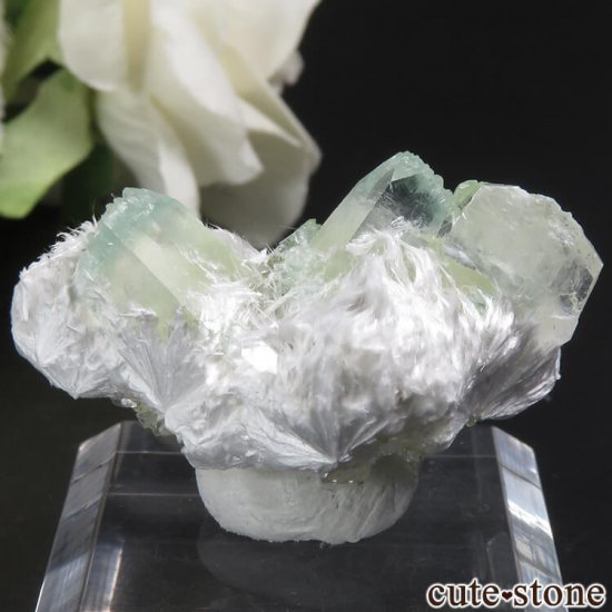  ץ͡ ʥ黺 ꡼ݥե饤ȡǥʥȡƥХȤθ 5.7gμ̿0 cute stone