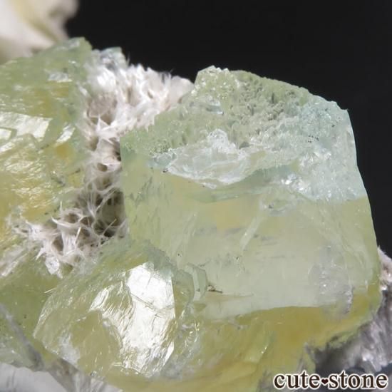  ץ͡ ʥ黺 ꡼ݥե饤ȡǥʥȤθ 17.1gμ̿1 cute stone