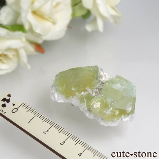  ץ͡ ʥ黺 ꡼ݥե饤ȡǥʥȤθ 17.1gμ̿3 cute stone