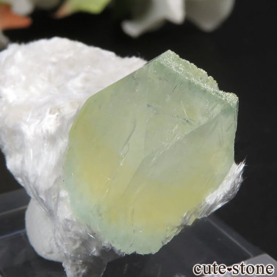  ץ͡ ʥ黺 ꡼ݥե饤ȡǥʥȤθ 5.3gμ̿1 cute stone