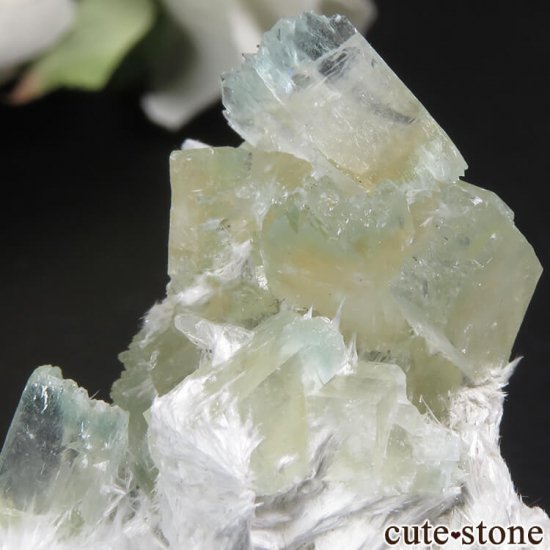  ץ͡ ʥ黺 ꡼ݥե饤ȡǥʥȤθ 8.4gμ̿2 cute stone