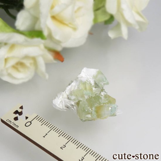  ץ͡ ʥ黺 ꡼ݥե饤ȡǥʥȤθ 8.4gμ̿3 cute stone