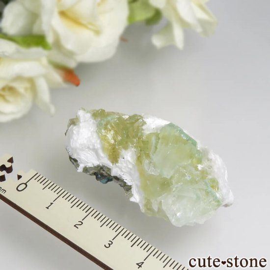  ץ͡ ʥ黺 ꡼ݥե饤ȡǥʥȤθ 22.5gμ̿3 cute stone