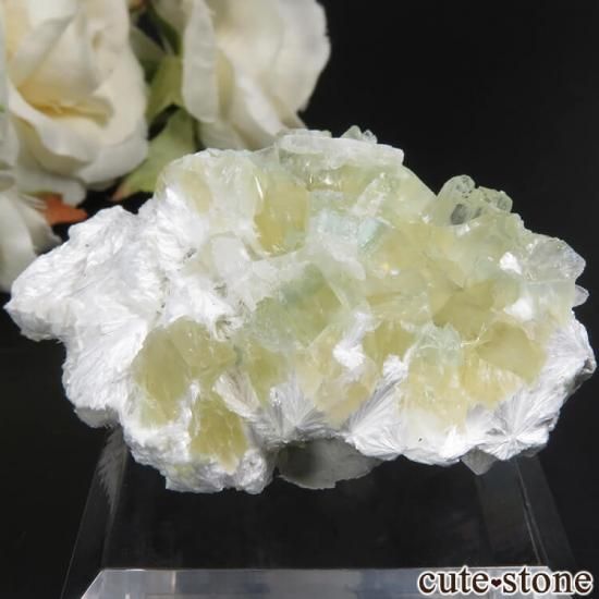  ץ͡ ʥ黺 ꡼ݥե饤ȡǥʥȤθ 17.4g