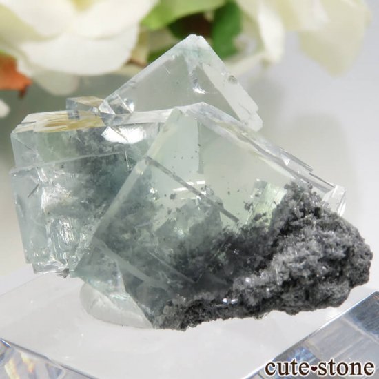  Xianghualing Mine ꡼ե饤Ȥη뾽 11gμ̿0 cute stone