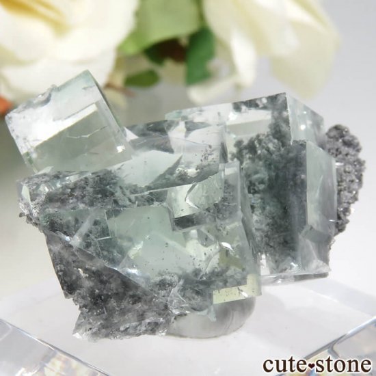  Xianghualing Mine ꡼ե饤Ȥη뾽 11gμ̿1 cute stone
