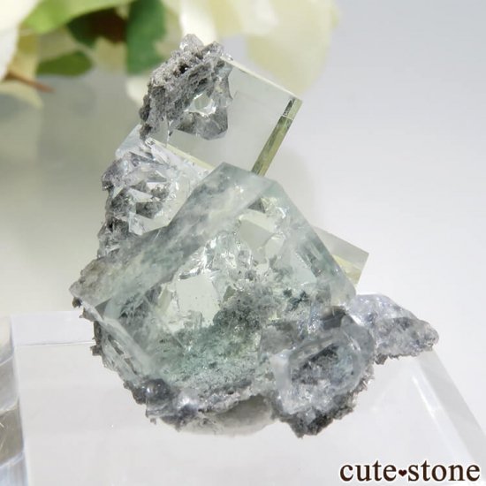  Xianghualing Mine ꡼ե饤Ȥη뾽 6.3gμ̿0 cute stone
