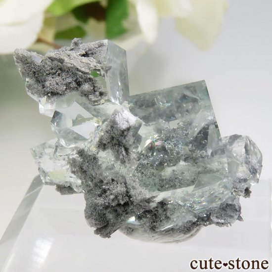  Xianghualing Mine ꡼ե饤Ȥη뾽 6.3gμ̿1 cute stone