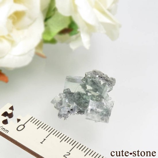  Xianghualing Mine ꡼ե饤Ȥη뾽 6.3gμ̿3 cute stone