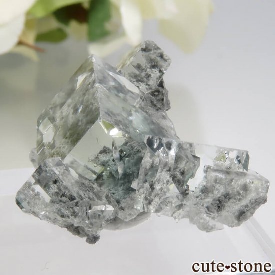  Xianghualing Mine ꡼ե饤Ȥη뾽 5.6gμ̿2 cute stone