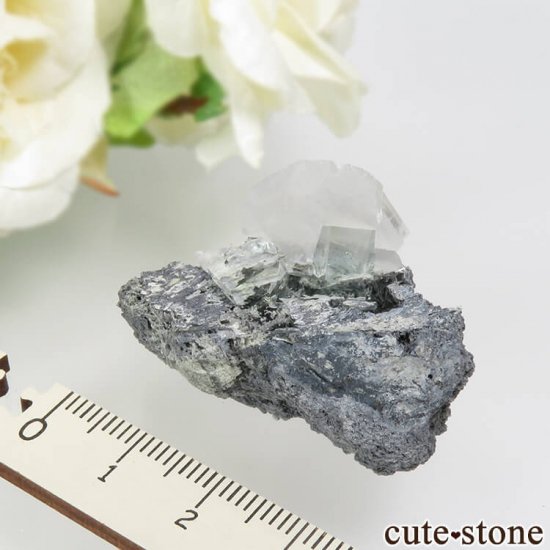  Xianghualing Mine ꡼ե饤ȡ륵 19.2gμ̿3 cute stone