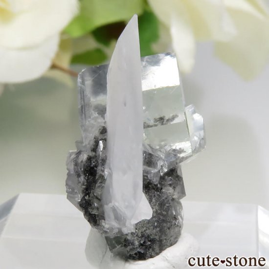  Xianghualing Mine ꡼ե饤ȡ륵 3.4gμ̿0 cute stone