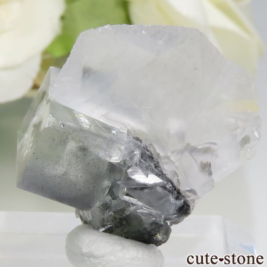  Xianghualing Mine ꡼ե饤ȡ륵 3.4gμ̿1 cute stone